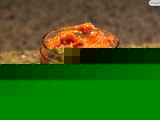 Spicy Tomato Relish – Tomato Thokku (Zing in the tongue )