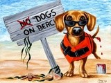 Spiaggia per cani in provincia di Teramo