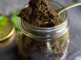 Pudina Thokku – South Indian Spicy Mint Relish