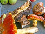 Εκδρομή στο Πήλιο και το απίστευτο μοσχαράκι γάλακτος με καραμελωμένα λαχανικά του Alain Ducasse