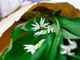 Wild Garlic Pesto