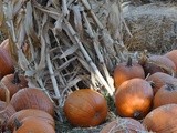 It's been a year . . . pumpkins . . . creations . . . and a giveaway
