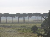 Italy—part one