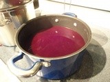 Simmered Grape Pulp + Cheese Cloth = Homemade Grape Jelly