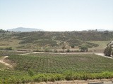 Wine Tasting in Temecula Valley, ca