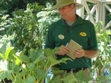 Pike's Garden-to-Table Soup and Fresh Salads