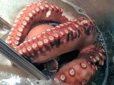 The Great Grilled Octopus Experiment