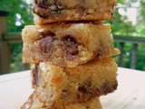 Chocolate Chip Graham Cracker Blondies