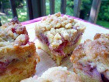 Strawberry Rhubarb Crumb Bars