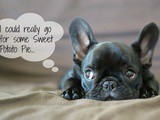 Feeding the Bulldog… er, Bloggers