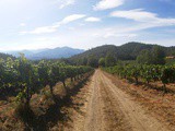 Four Scenic Stops on the Applegate Valley Wine Trail {Southern Oregon}