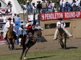 Let ‘er Buck! {Pendleton Round-up Recap}