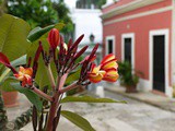 One Day in Old San Juan {Puerto Rico}