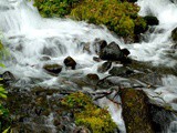 Wahkeena Falls {Hike}