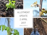 Allotment Update 2 April 2017 #Ad