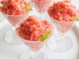 'Sugar Baby' Watermelon Granita