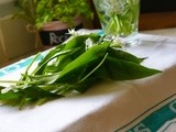 Wild Garlic Green Goddess