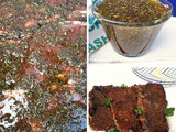Best Steak Marinade in Existence