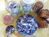 A Violets Festival in Your Own Garden