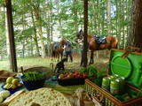 Ferragosto: a Mediterranean picnic “English style”