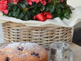 Torta Nua alla confettura di lamponi