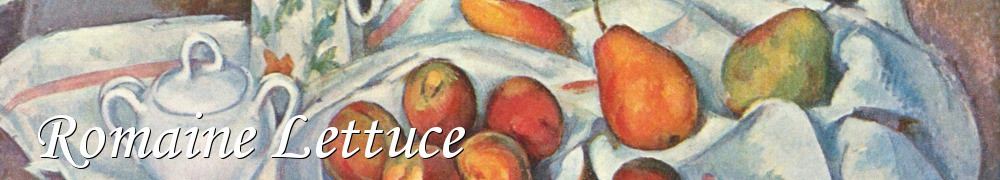 Very Good Recipes - Romaine Lettuce